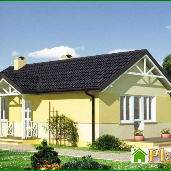 309. Small house with a spacious living room