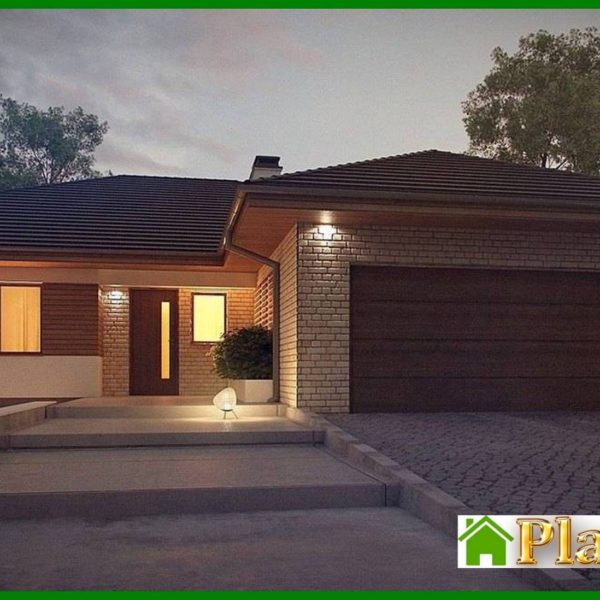 471. One-storey house project with a terrace