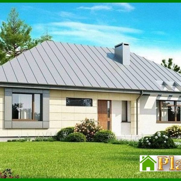 480. The project of a one-story classic cottage