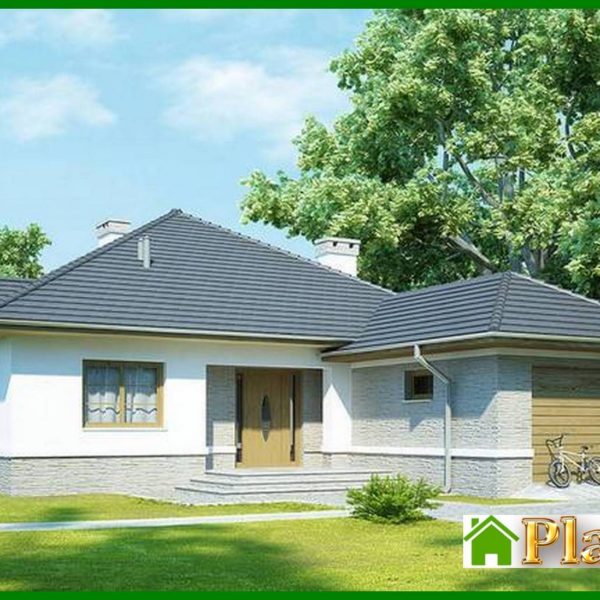 16. Single-storey house project with garage