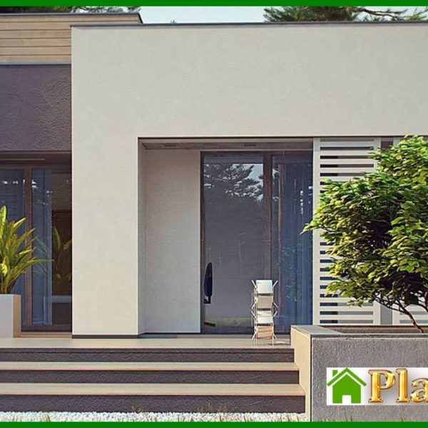 1004. One-story modern mansion for a narrow plot