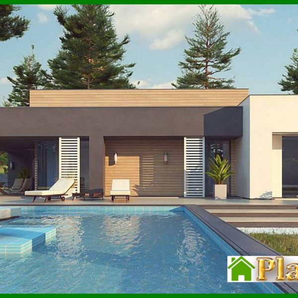 1004. One-story modern mansion for a narrow plot