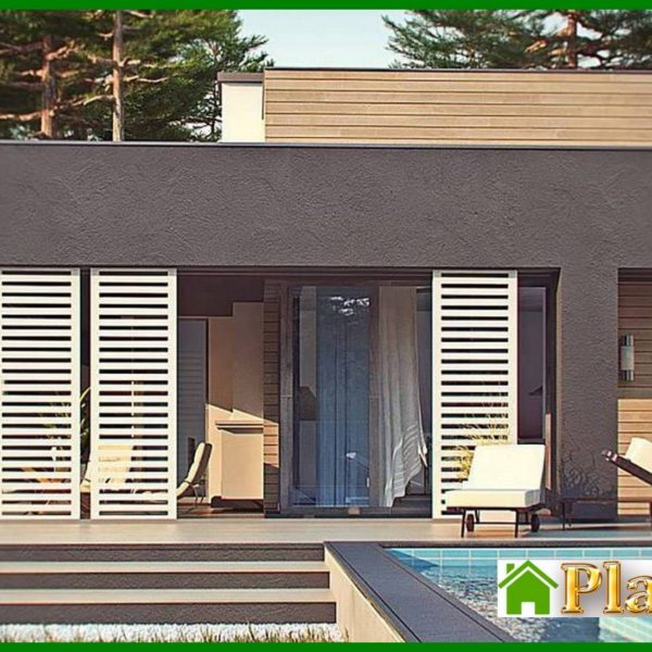 1004. One-story modern mansion for a narrow plot