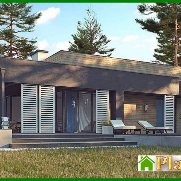 1004. One-story modern mansion for a narrow plot