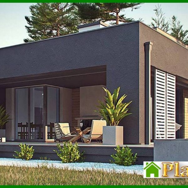 1004. One-story modern mansion for a narrow plot