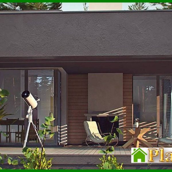 1004. One-story modern mansion for a narrow plot