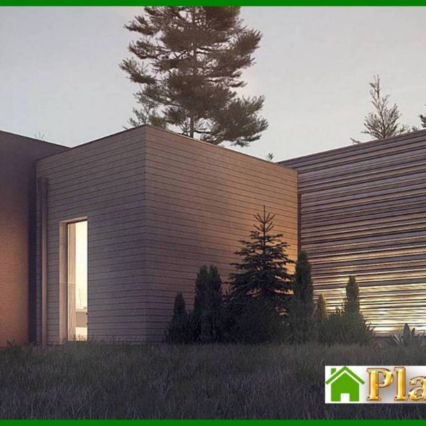 1004. One-story modern mansion for a narrow plot