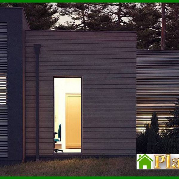 1004. One-story modern mansion for a narrow plot