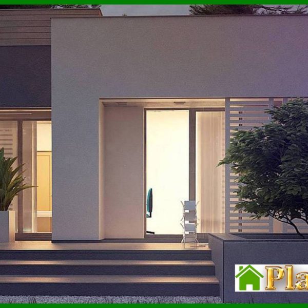 1004. One-story modern mansion for a narrow plot