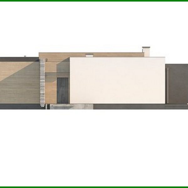 1004. One-story modern mansion for a narrow plot