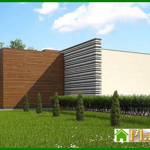 1004. One-story modern mansion for a narrow plot