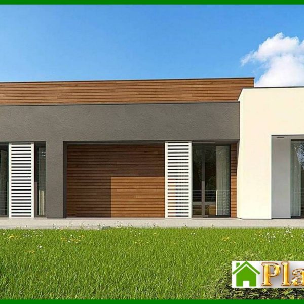 1004. One-story modern mansion for a narrow plot