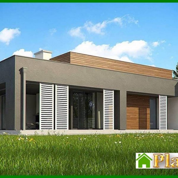 1004. One-story modern mansion for a narrow plot