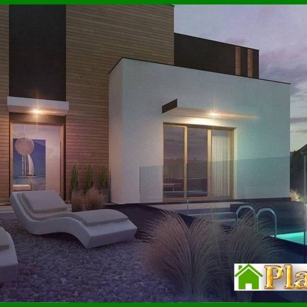 1008. Project of a modern mansion with two kitchens