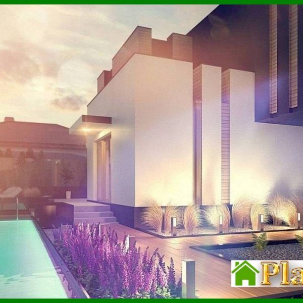 1008. Project of a modern mansion with two kitchens