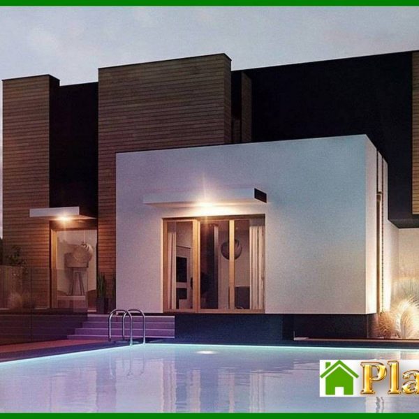 1008. Project of a modern mansion with two kitchens