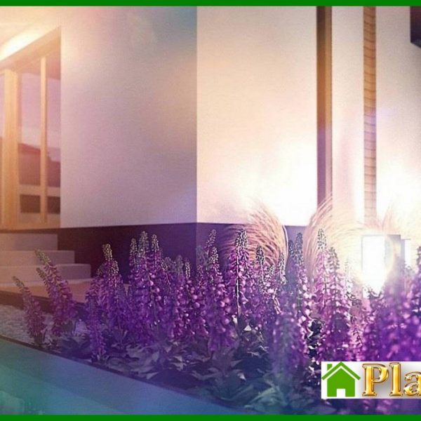 1008. Project of a modern mansion with two kitchens