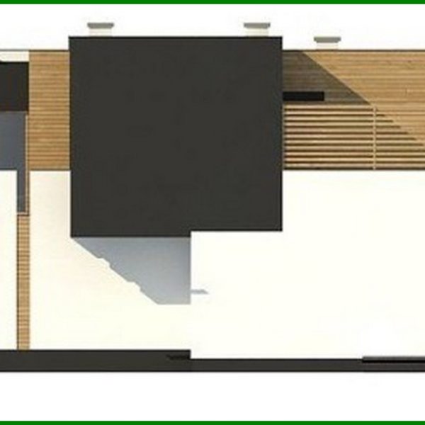 1008. Project of a modern mansion with two kitchens