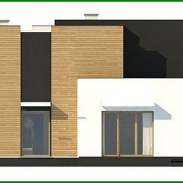 1008. Project of a modern mansion with two kitchens