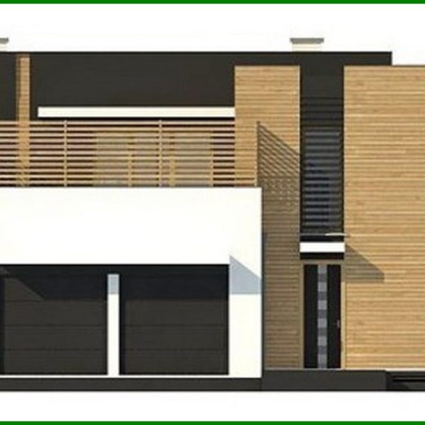 1008. Project of a modern mansion with two kitchens