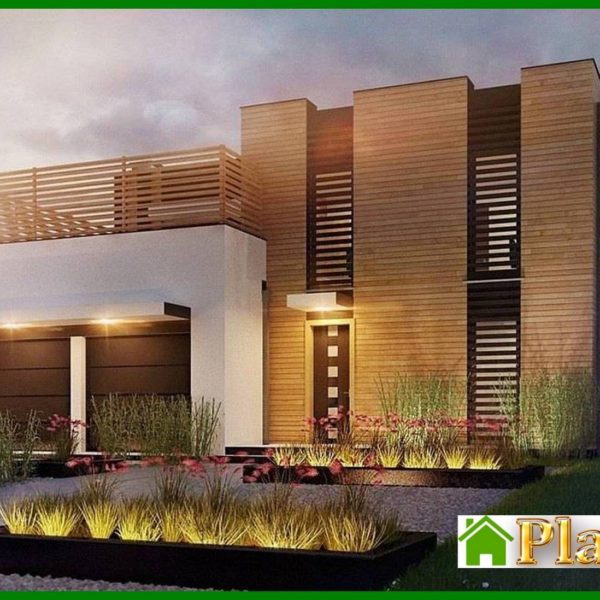 1008. Project of a modern mansion with two kitchens