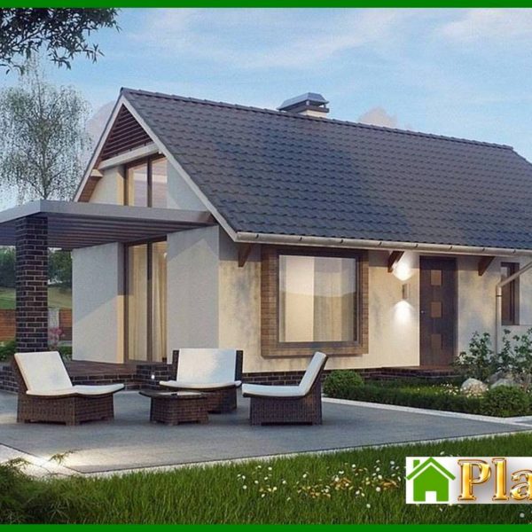 572. The project of a small one-story cottage