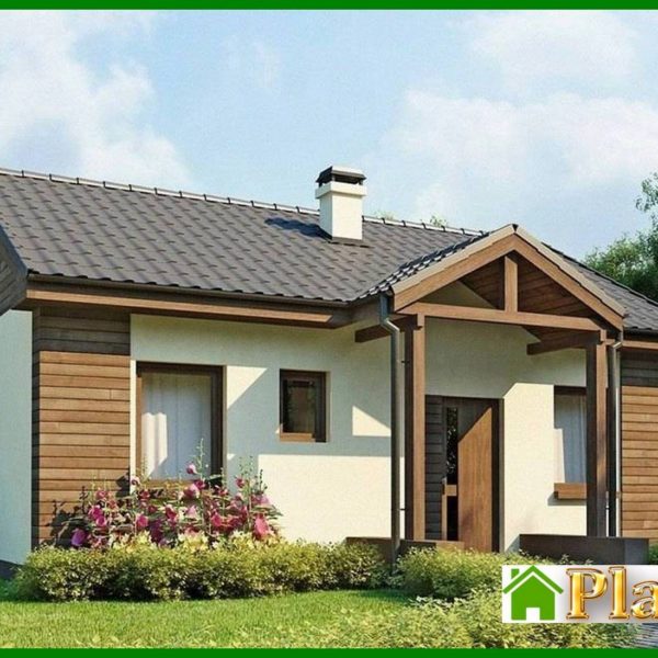 591. The project of a small one-story economical house with a gable roof