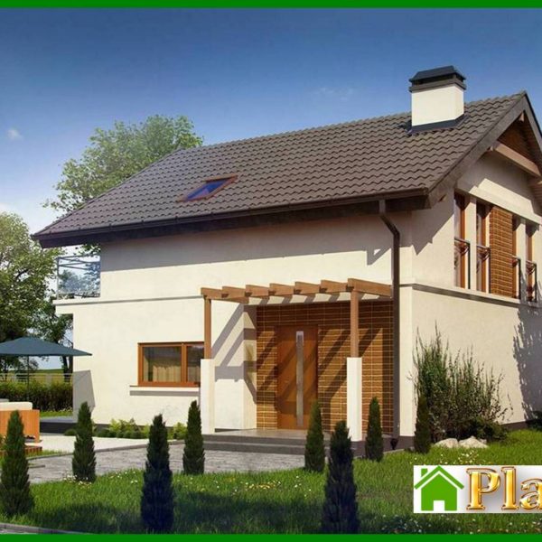 706. Project of a cottage with an attic, an additional room on the ground floor