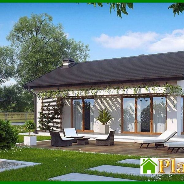 814. The project of a small one-story house with a convenient side entrance