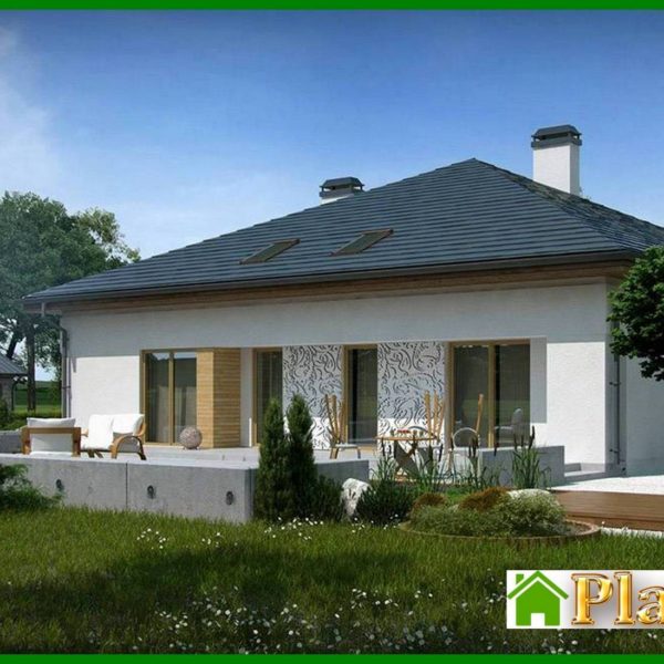 843. Project of a house with a sloping roof and an open attic