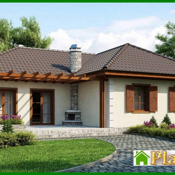 845. The project of a one-story house with a room for the attic