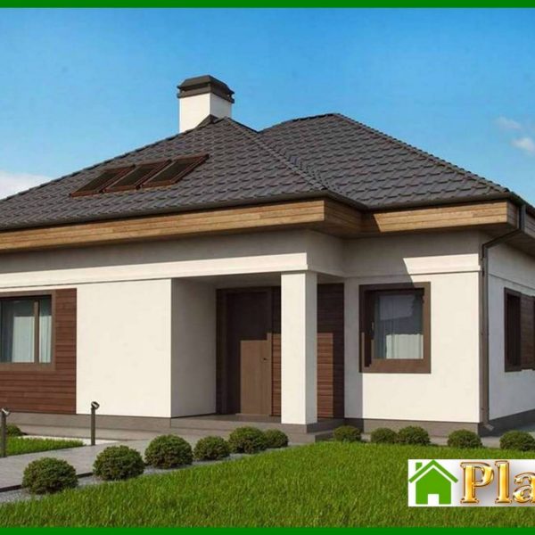 869. Beautiful house project