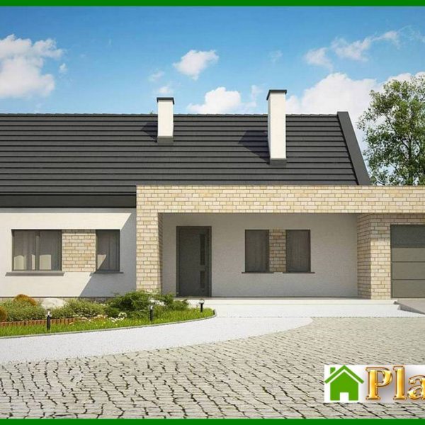 912. One-story classic house for a narrow plot